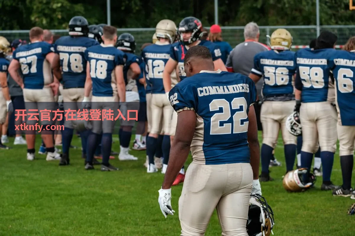 开云官方在线登陆入口安全接入保障示意图